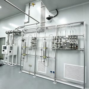 316 Stainless Steel Needle Valve High Purity Gas Cabinet Pipeline Flow Control OEM Gas Pressure Regulator