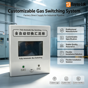 BMT33 Gas Pressure Regulator for Hospital/Laboratory Central Oxygen Supply Automatic Distribution System Supporting Oxygen Argon Lines