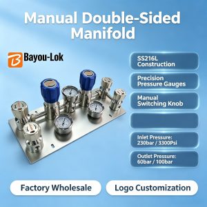 BMT22 Dual-Side Automatic Switch High Pressure Gas Pressure Regulator SUS316 Stainless Steel Construction for LPG Argon Applications
