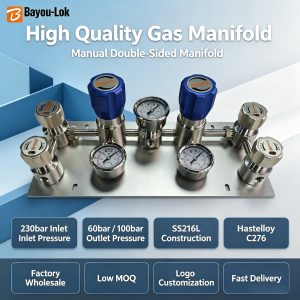 BMT22 Dual-Side Automatic Switch High Pressure Gas Pressure Regulator SUS316 Stainless Steel Construction for LPG Argon Applications