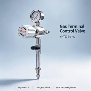 YMT12 Stainless Steel Gas Terminal Control Valve High Precision Desktop Second Stage Pressure Regulator for Lab Nitrogen Oxygen Air